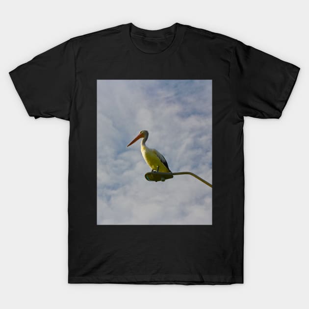 Pelican on a Light! T-Shirt by Mickangelhere1